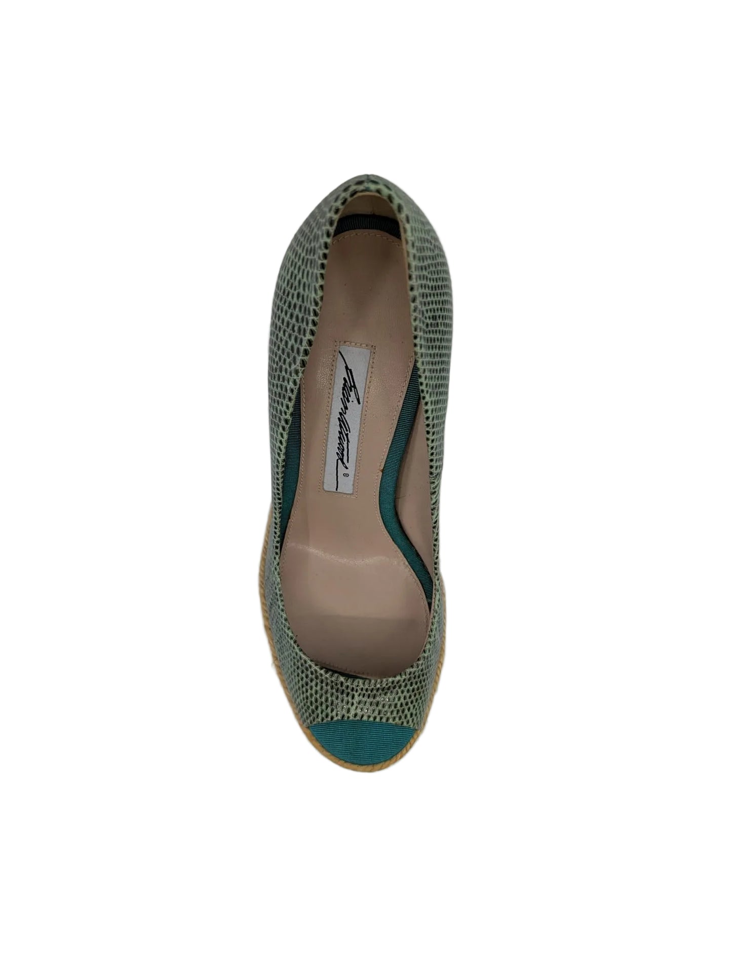 Alysha Green Snake Print Leather Brian Atwood Wedge Pumps